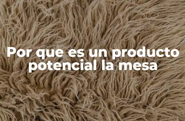 Por que es un Producto Potencial la Mesa