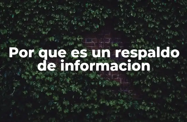 Por que es un Respaldo de Informacion