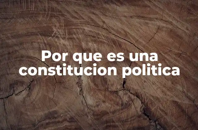 Por que es una Constitucion Politica