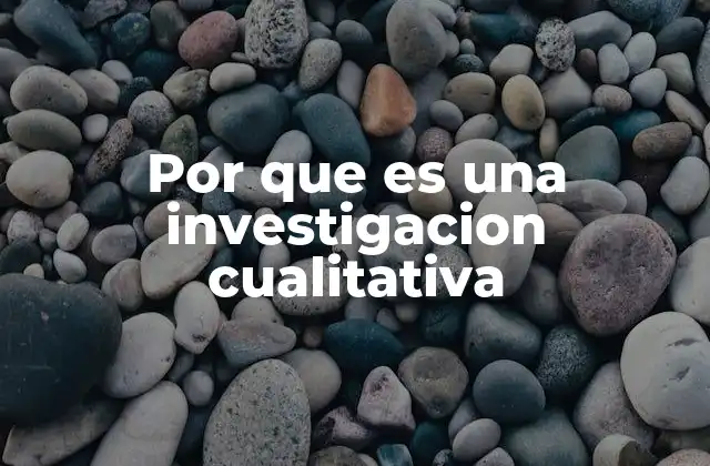 Por que es una Investigacion Cualitativa