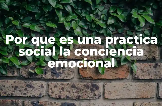 Por que es una Practica Social la Conciencia Emocional