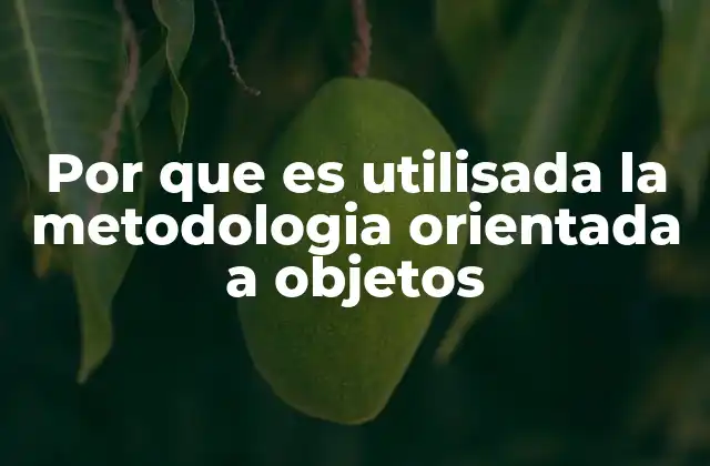 Por que es Utilisada la Metodologia Orientada a Objetos