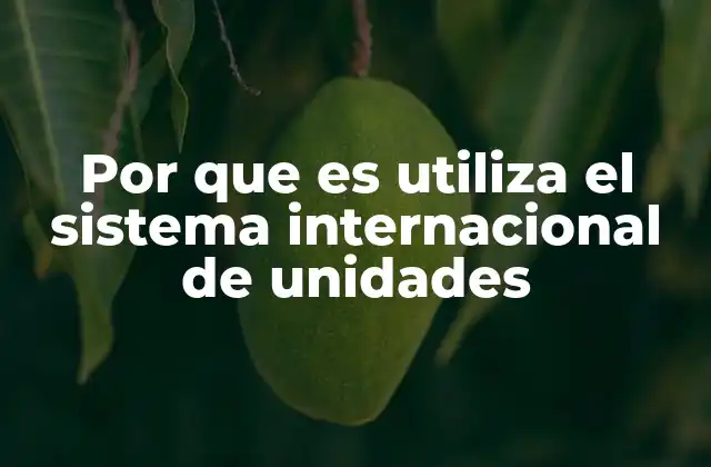 Por que es Utiliza el Sistema Internacional de Unidades