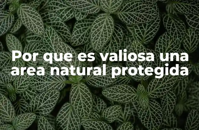 Por que es Valiosa una Area Natural Protegida