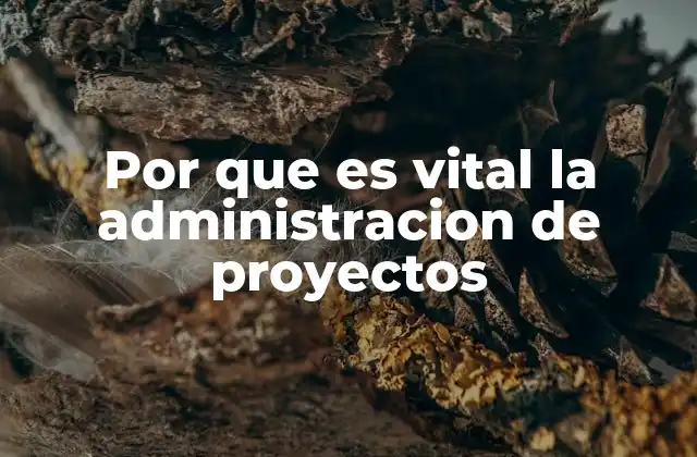 Por que es Vital la Administracion de Proyectos