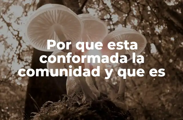 Por que Esta Conformada la Comunidad y que es 2 Los componentes esenciales de una comunidad