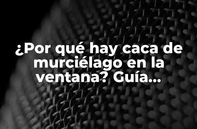 ¿por Qué Hay Caca de Murciélago en la Ventana? Guía Completa