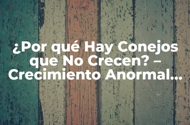 ¿por Qué Hay Conejos que No Crecen? – Crecimiento Anormal en Conejos