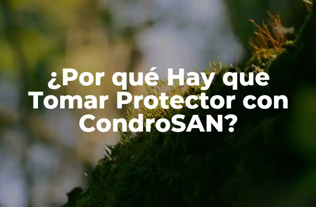 ¿por Qué Hay que Tomar Protector con Condrosan?