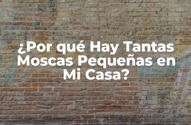¿por Qué Hay Tantas Moscas Pequeñas en Mi Casa?
