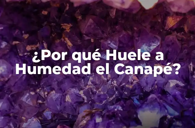 ¿por Qué Huele a Humedad el Canapé?