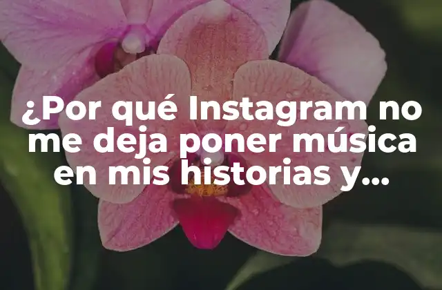 ¿por Qué Instagram No Me Deja Poner Música en Mis Historias y Publicaciones?
