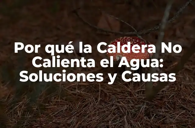 Por Qué la Caldera No Calienta el Agua: Soluciones y Causas