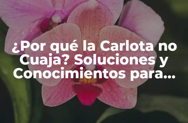 ¿por Qué la Carlota No Cuaja? Soluciones y Conocimientos para una Receta Exitosa