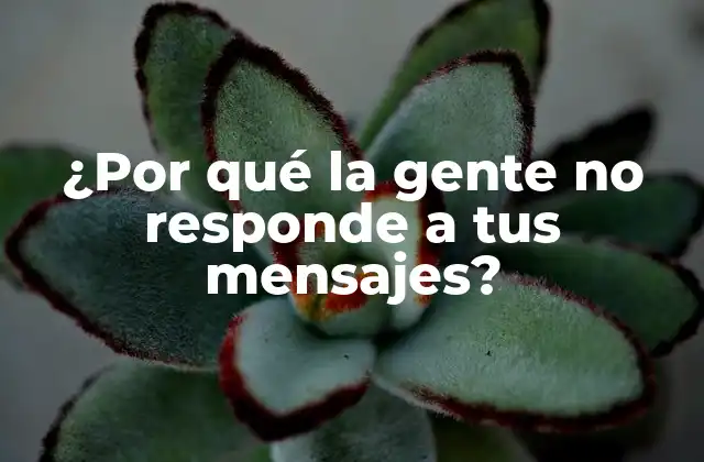 ¿por Qué la Gente No Responde a Tus Mensajes?