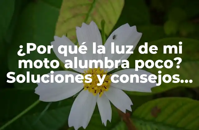 ¿por Qué la Luz de Mi Moto Alumbra Poco? Soluciones y Consejos para Mejorar la Iluminación