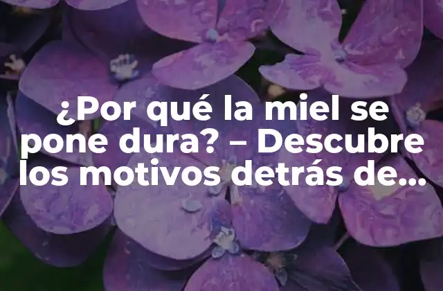 ¿por Qué la Miel Se Pone Dura? – Descubre los Motivos Detrás de Este Fenómeno Natural