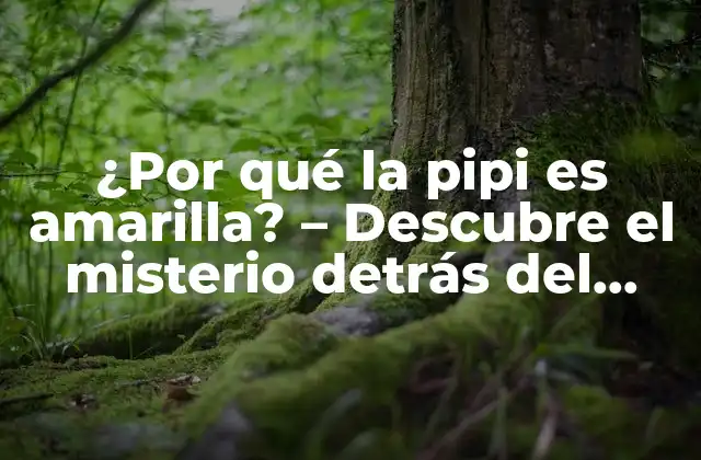 ¿por Qué la Pipi es Amarilla? – Descubre el Misterio Detrás Del Color de la Orina