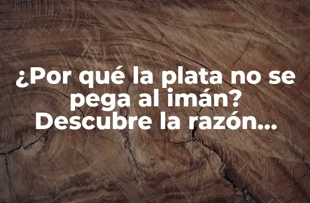 ¿por Qué la Plata No Se Pega Al Imán? Descubre la Razón Detrás de Este Fenómeno