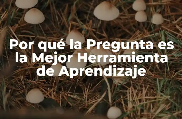 Por Qué la Pregunta es la Mejor Herramienta de Aprendizaje