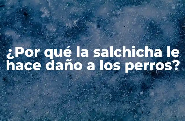 ¿por Qué la Salchicha Le Hace Daño a los Perros?