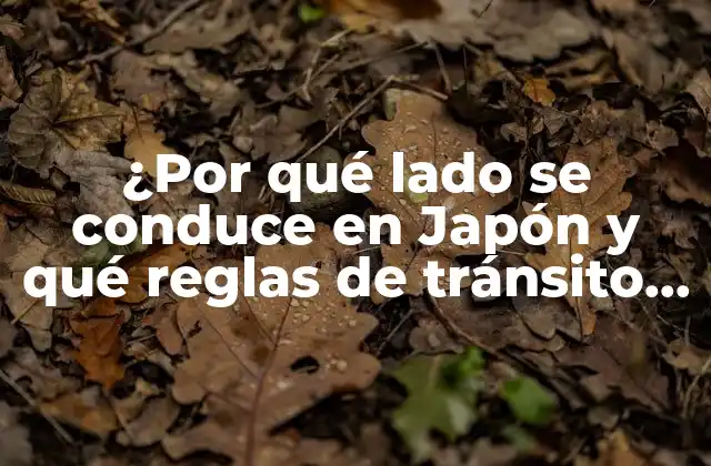 ¿por Qué Lado Se Conduce en Japón y Qué Reglas de Tránsito Debes Conocer Antes de Visitar?