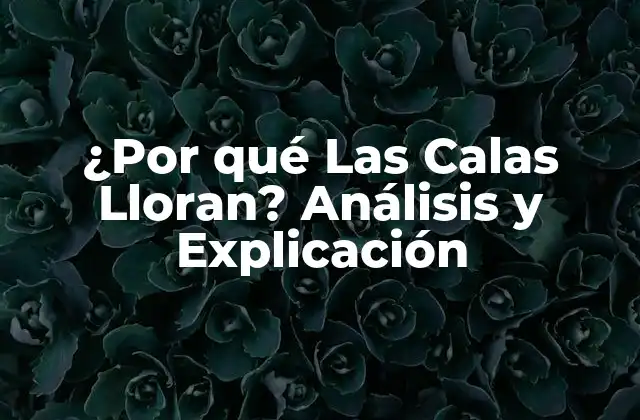 ¿por Qué las Calas Lloran? Análisis y Explicación