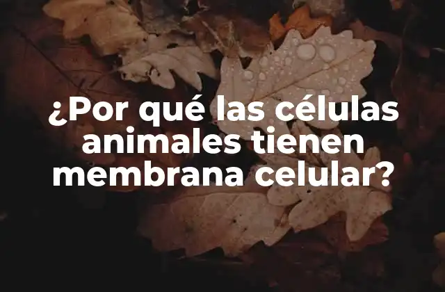 ¿por Qué las Células Animales Tienen Membrana Celular?