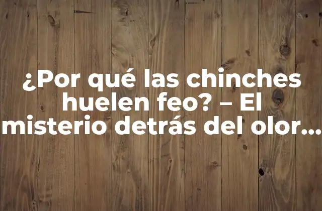 ¿por Qué las Chinches Huelen Feo? – el Misterio Detrás Del Olor Desagradable