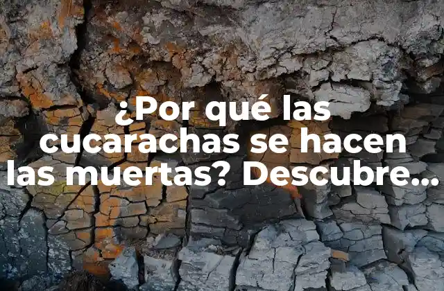 ¿por Qué las Cucarachas Se Hacen las Muertas? Descubre el Motivo Detrás de Este Comportamiento