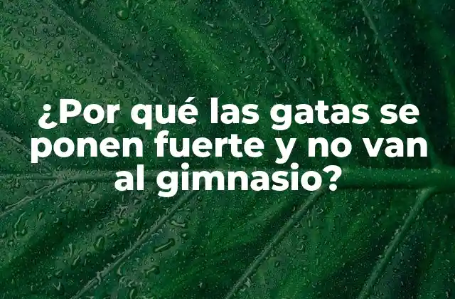 ¿por Qué las Gatas Se Ponen Fuerte y No Van Al Gimnasio?