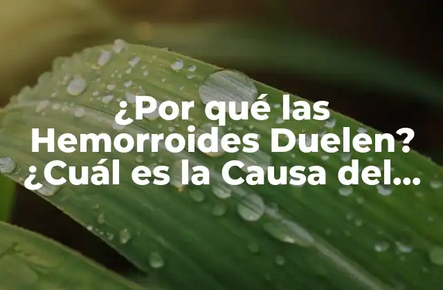 ¿por Qué las Hemorroides Duelen? ¿cuál es la Causa Del Dolor?