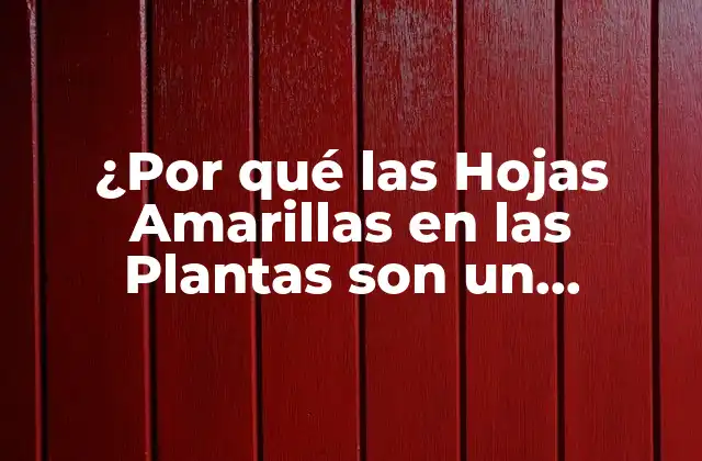 ¿por Qué las Hojas Amarillas en las Plantas Son un Problema Común?
