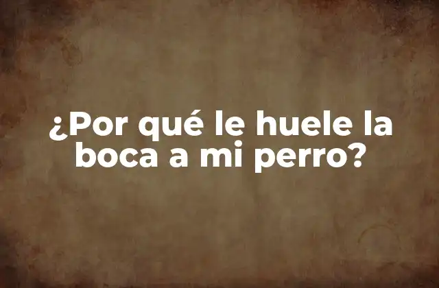¿por Qué Le Huele la Boca a Mi Perro?