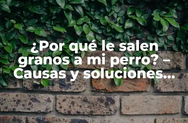 ¿por Qué Le Salen Granos a Mi Perro? – Causas y Soluciones para la Salud Canina
