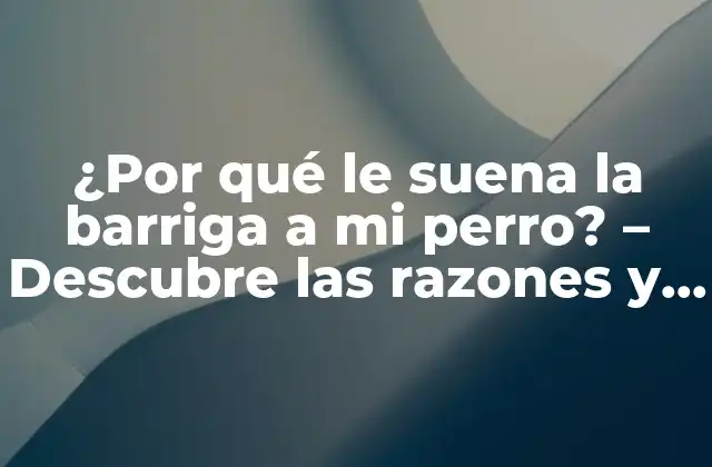 ¿por Qué Le Suena la Barriga a Mi Perro? – Descubre las Razones y Soluciones