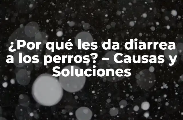 Causas Comunes de la Diarrea en Perros