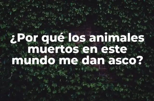¿por Qué los Animales Muertos en Este Mundo Me Dan Asco?