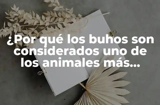 ¿por Qué los Buhos Son Considerados Uno de los Animales Más Inteligentes?