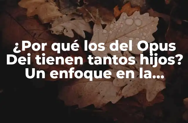 ¿por Qué los Del Opus Dei Tienen Tantos Hijos? un Enfoque en la Familia y la Fe