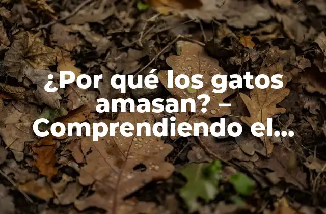 ¿por Qué los Gatos Amasan? – Comprendiendo el Comportamiento Felino