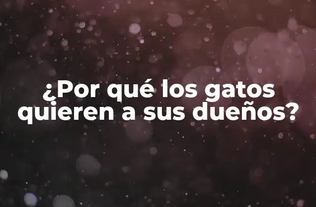 ¿por Qué los Gatos Quieren a Sus Dueños?