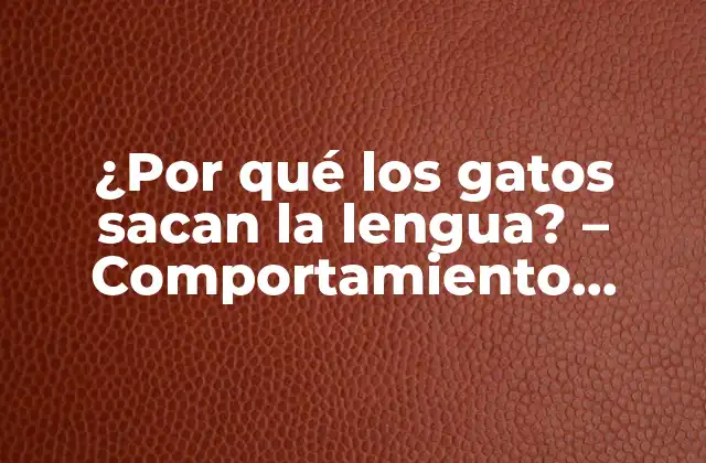 ¿por Qué los Gatos Sacan la Lengua? – Comportamiento Felino Explorado
