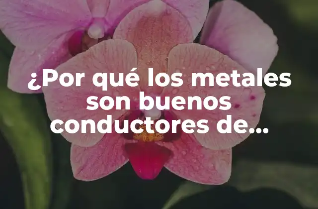 ¿por Qué los Metales Son Buenos Conductores de Electricidad?