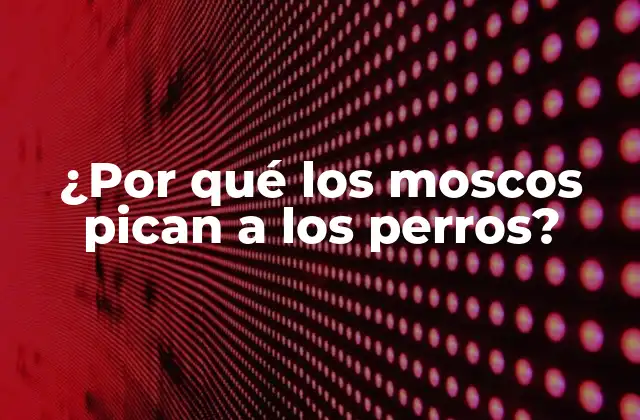 ¿Por qué los moscos se sienten atraídos por los perros?