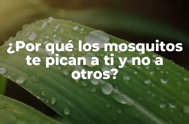 ¿por Qué los Mosquitos Te Pican a Ti y No a Otros?