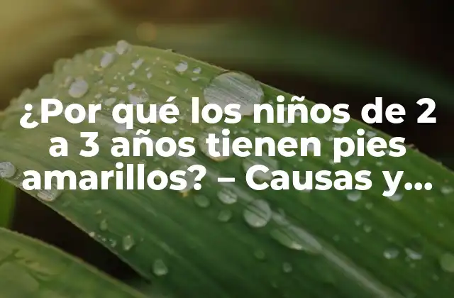 ¿por Qué los Niños de 2 a 3 Años Tienen Pies Amarillos? – Causas y Soluciones Naturales