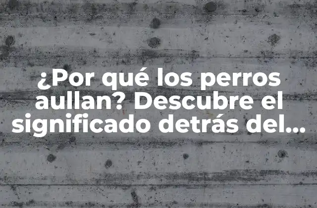 ¿por Qué los Perros Aullan? Descubre el Significado Detrás Del Aullido