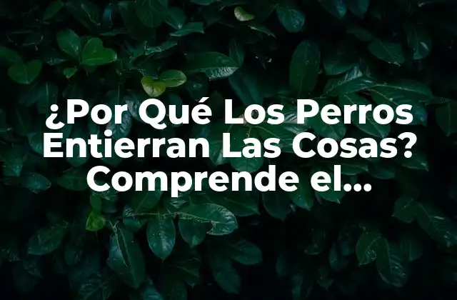 ¿por Qué los Perros Entierran las Cosas? Comprende el Comportamiento Canino