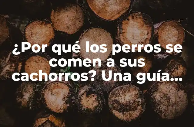 ¿por Qué los Perros Se Comen a Sus Cachorros? una Guía Completa sobre el Comportamiento Canino